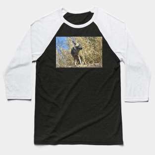 African Wild Dog Baseball T-Shirt